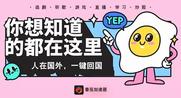回国vpn下载教程